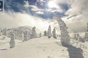 5940 Snow Pines Way Unit# 23 - Photo 14