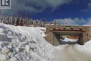 5940 Snow Pines Way Unit# 23 - Photo 15