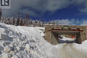 5940 Snow Pines Way Unit# 23 - Photo 16