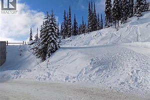 5940 Snow Pines Way Unit# 23 - Photo 18