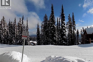 5940 Snow Pines Way Unit# 23 - Photo 20