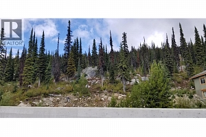 5940 Snow Pines Way Unit# 23 - Photo 3