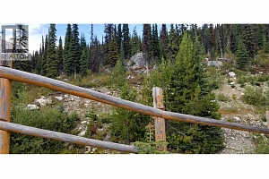 5940 Snow Pines Way Unit# 23 - Photo 4