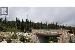 5940 Snow Pines Way Unit# 23 - Photo 6