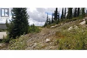 5940 Snow Pines Way Unit# 23 - Photo 7