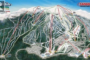 5940 Snow Pines Way Unit# 23 - Photo 9