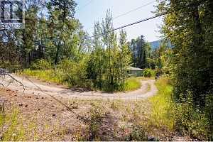 4414 Trepanier Road - Photo 14