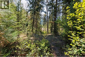 4414 Trepanier Road - Photo 24