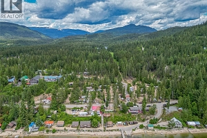 3475 Mabel Lake Place - Photo 59