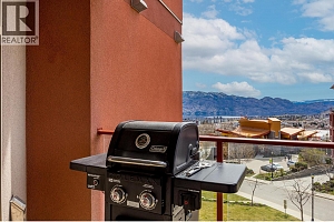 3211 Skyview Lane Unit# 411 - Photo 21