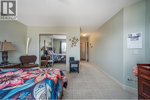 3604 Shadow Creek Drive - Photo 23