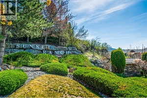 3604 Shadow Creek Drive - Photo 58