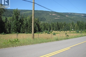 130Acres Sugar Lake-Sihlis Road - Photo 10