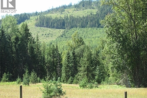 130Acres Sugar Lake-Sihlis Road - Photo 11