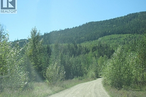 130Acres Sugar Lake-Sihlis Road - Photo 17