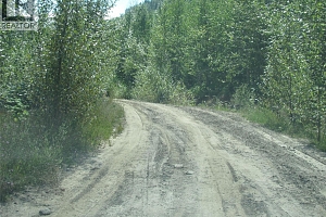 130Acres Sugar Lake-Sihlis Road - Photo 18