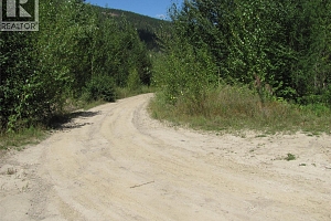 130Acres Sugar Lake-Sihlis Road - Photo 19