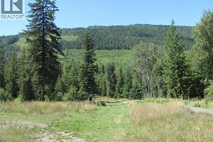 130Acres Sugar Lake-Sihlis Road - Photo 2