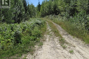 130Acres Sugar Lake-Sihlis Road - Photo 20