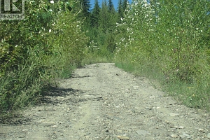 130Acres Sugar Lake-Sihlis Road - Photo 21