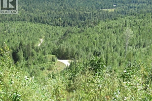 130Acres Sugar Lake-Sihlis Road - Photo 22