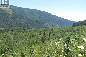 130Acres Sugar Lake-Sihlis Road - Photo 23