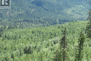 130Acres Sugar Lake-Sihlis Road - Photo 24