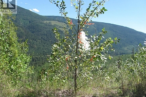 130Acres Sugar Lake-Sihlis Road - Photo 25