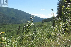 130Acres Sugar Lake-Sihlis Road - Photo 26