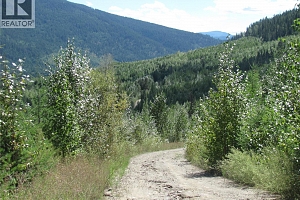 130Acres Sugar Lake-Sihlis Road - Photo 27