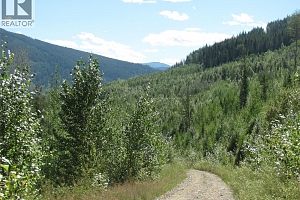 130Acres Sugar Lake-Sihlis Road - Photo 28