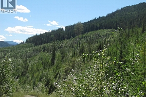 130Acres Sugar Lake-Sihlis Road - Photo 29