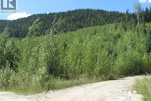 130Acres Sugar Lake-Sihlis Road - Photo 3