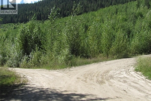 130Acres Sugar Lake-Sihlis Road - Photo 32