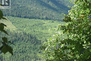 130Acres Sugar Lake-Sihlis Road - Photo 33