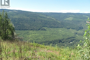 130Acres Sugar Lake-Sihlis Road - Photo 34