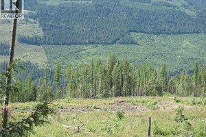 130Acres Sugar Lake-Sihlis Road - Photo 35