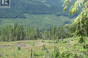 130Acres Sugar Lake-Sihlis Road - Photo 36