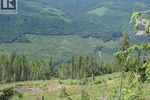 130Acres Sugar Lake-Sihlis Road - Photo 37