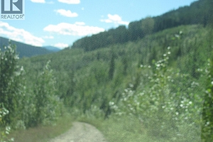 130Acres Sugar Lake-Sihlis Road - Photo 4