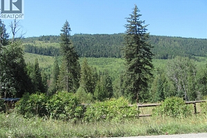 130Acres Sugar Lake-Sihlis Road - Photo 5