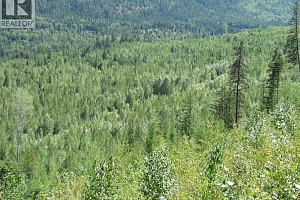 130Acres Sugar Lake-Sihlis Road - Photo 6