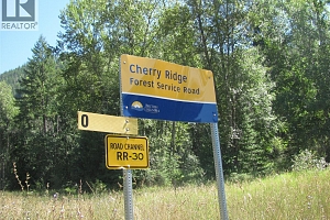 130Acres Sugar Lake-Sihlis Road - Photo 9