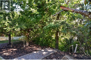 6609 Southwind Road - Photo 88