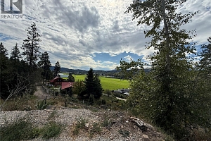 Proposed Lot A -10544 Bonnie Drive - Photo 5