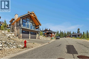 345 Feathertop Way - Photo 4