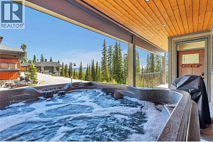 345 Feathertop Way - Photo 41