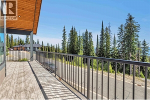 345 Feathertop Way - Photo 44