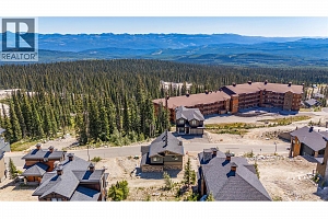 345 Feathertop Way - Photo 48