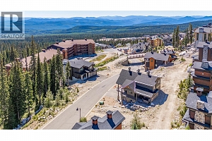 345 Feathertop Way - Photo 49